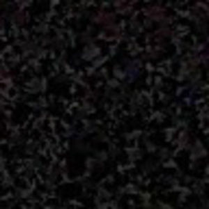 Meet your Posher, Joey